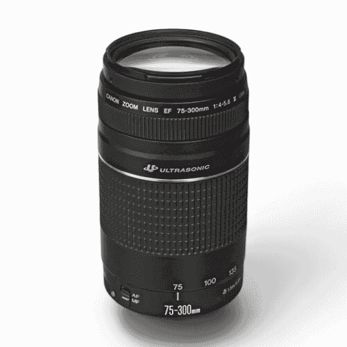 Canon EF 75-300mm f/4-5.6 USM