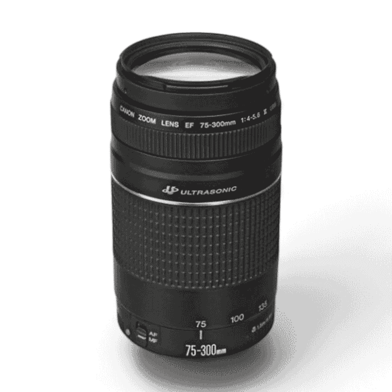 Canon EF 75-300mm f/4-5.6 USM