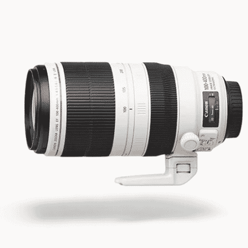 Canon EF100-400mm f/4.5-5.6L IS II USM +1.4x