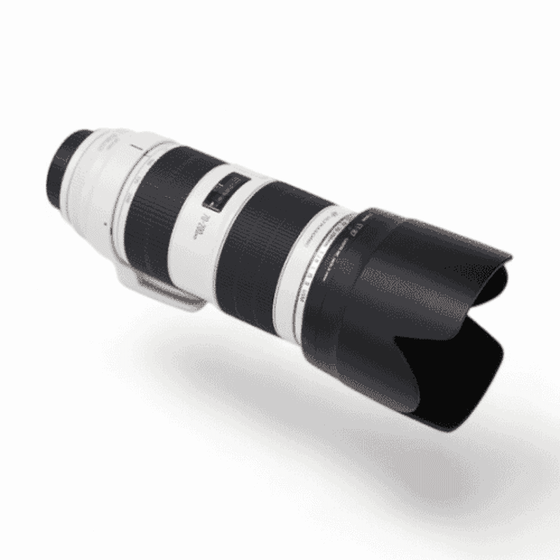 Canon EF70-200mm f/2.8L IS II USM +1.4x
