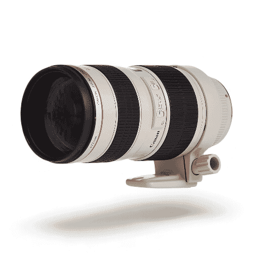 Canon EF70-200mm f/2.8L IS USM +1.4x