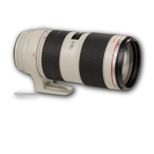 Canon EF70-200mm f/2.8L USM +1.4x