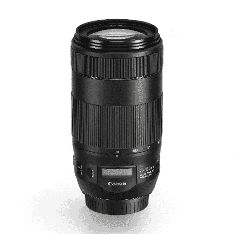 Canon EF70-300mm f/4-5.6 IS II USM