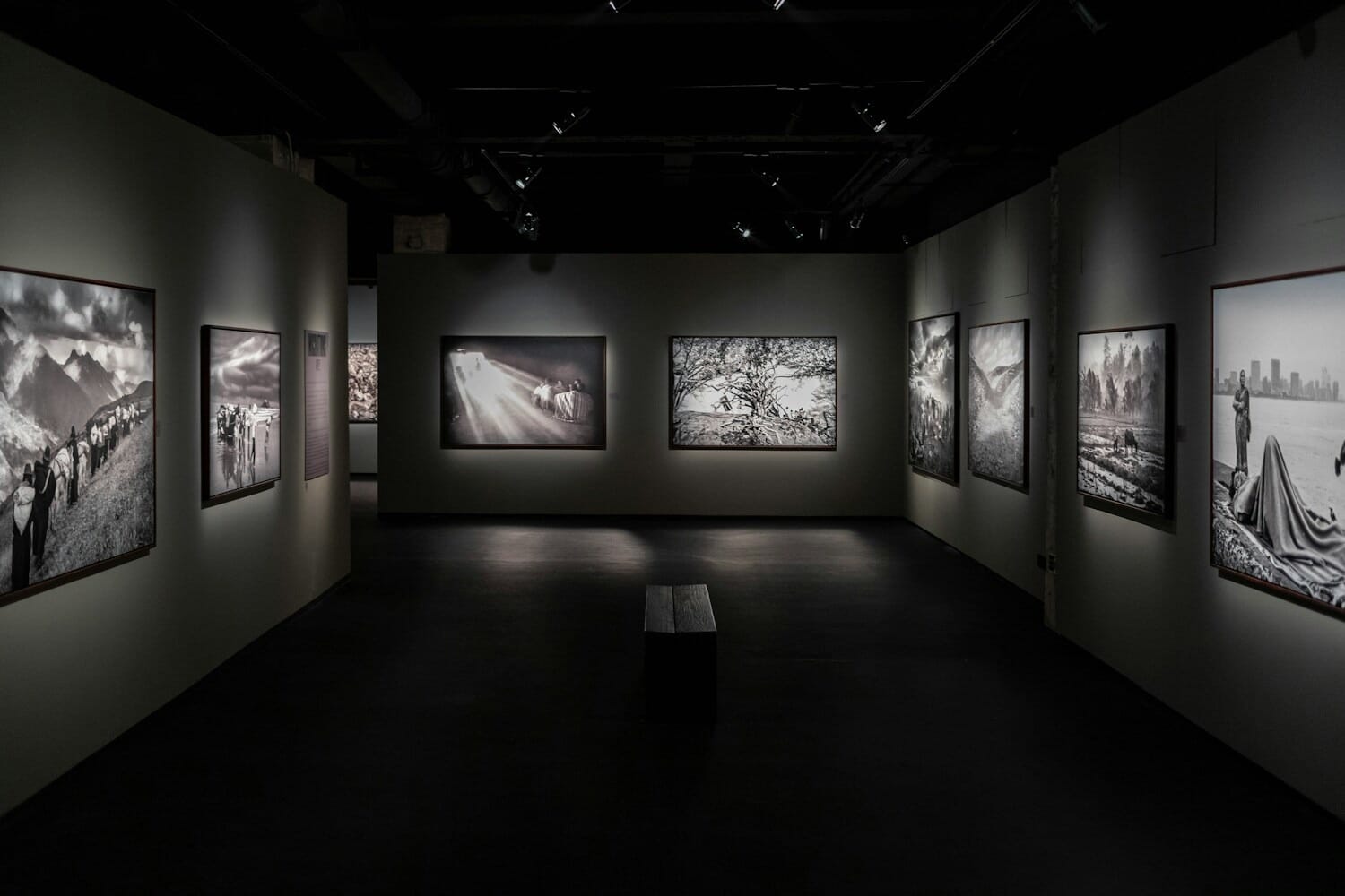 Black and white photography gallery with framed photographs on the wall