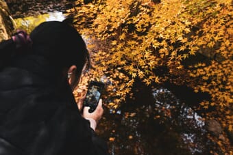 Person taking a photo with smartphone outdoors - iPhone Photo Academy review