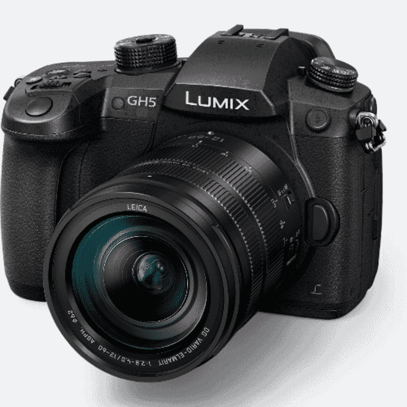 Panasonic Lumix DC-GH5S