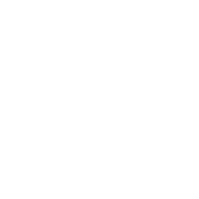 Remini