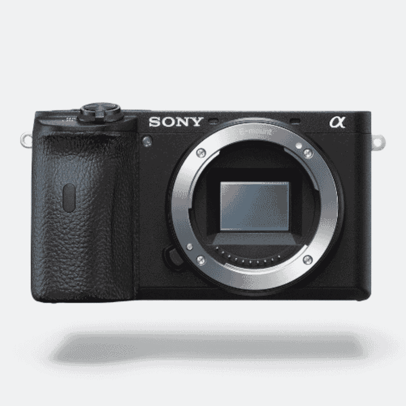 Sony a6600