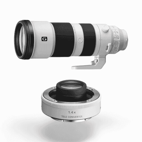 Sony FE 200-600mm f/5.6-6.3 G OSS + 1.4X Teleconverter