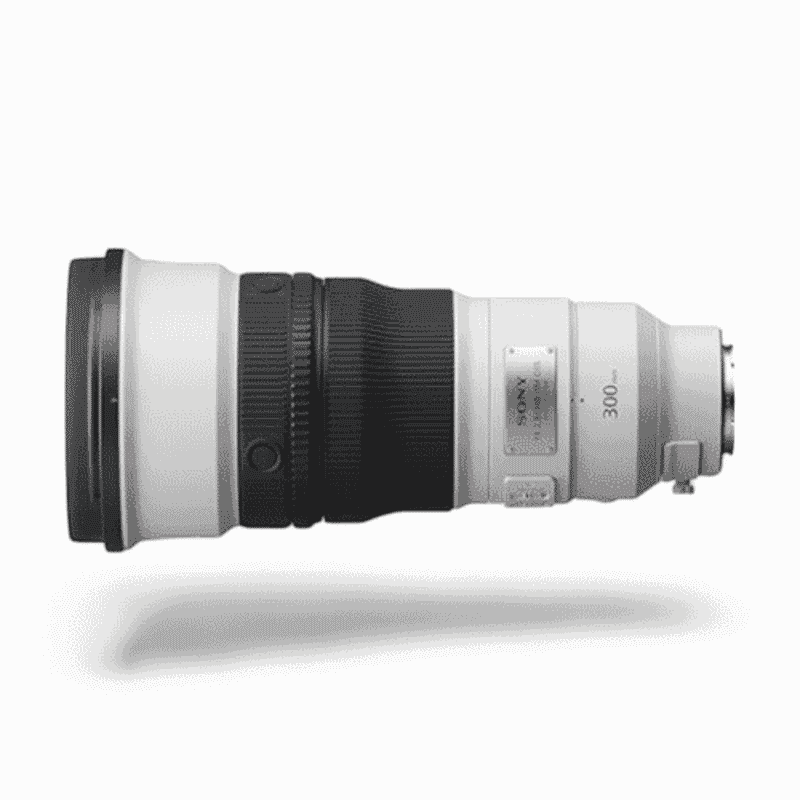 Sony FE 300mm f/2.8 GM OSS + 2X Teleconverter