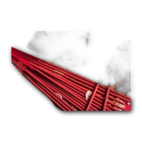 Tamron SP AF 90mm f/2.8 Di Macro 1:1 272NII