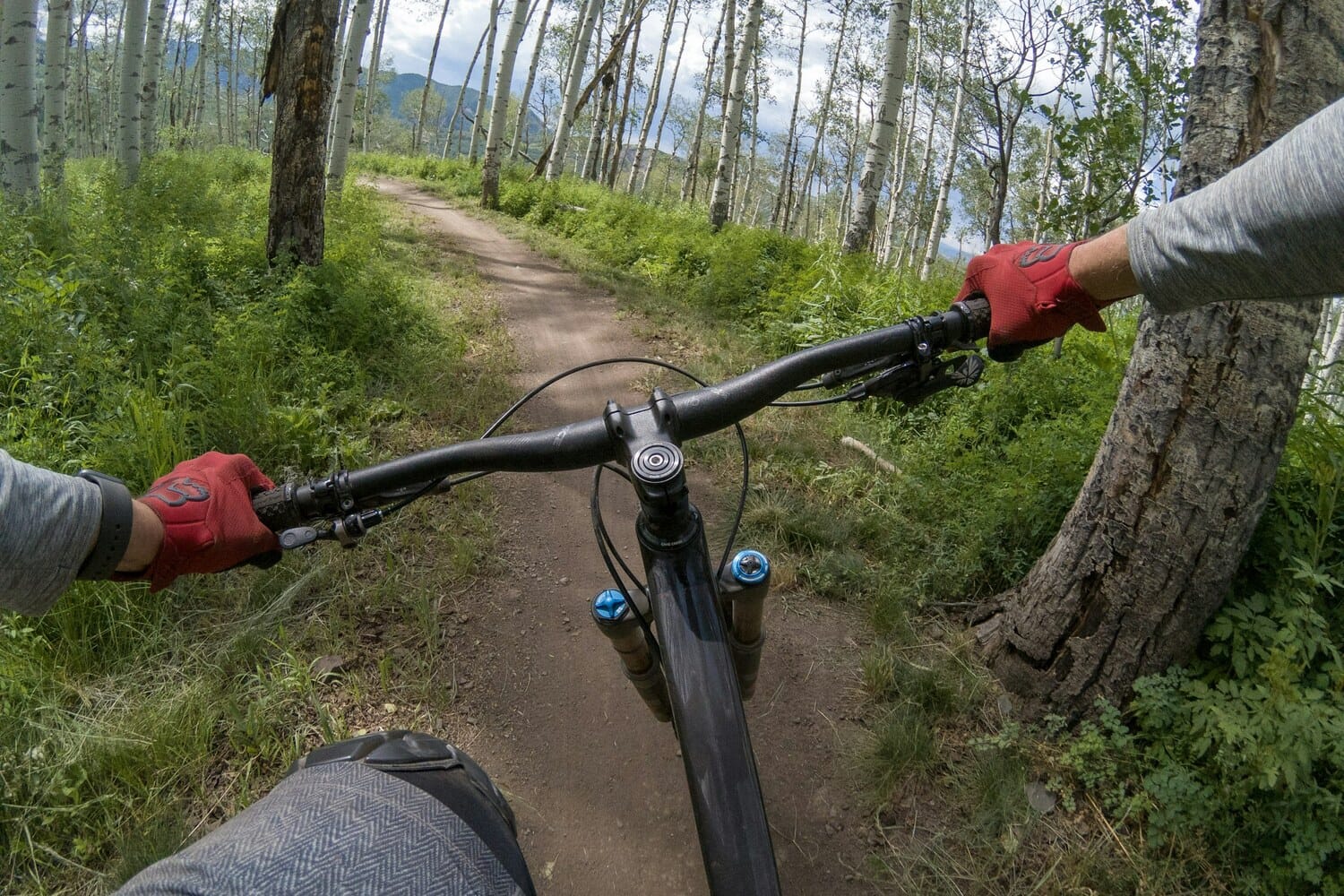 POV shot from a mountain biker riding down a forest trail — the kind of first-person footage a chest-mounted action camera captures