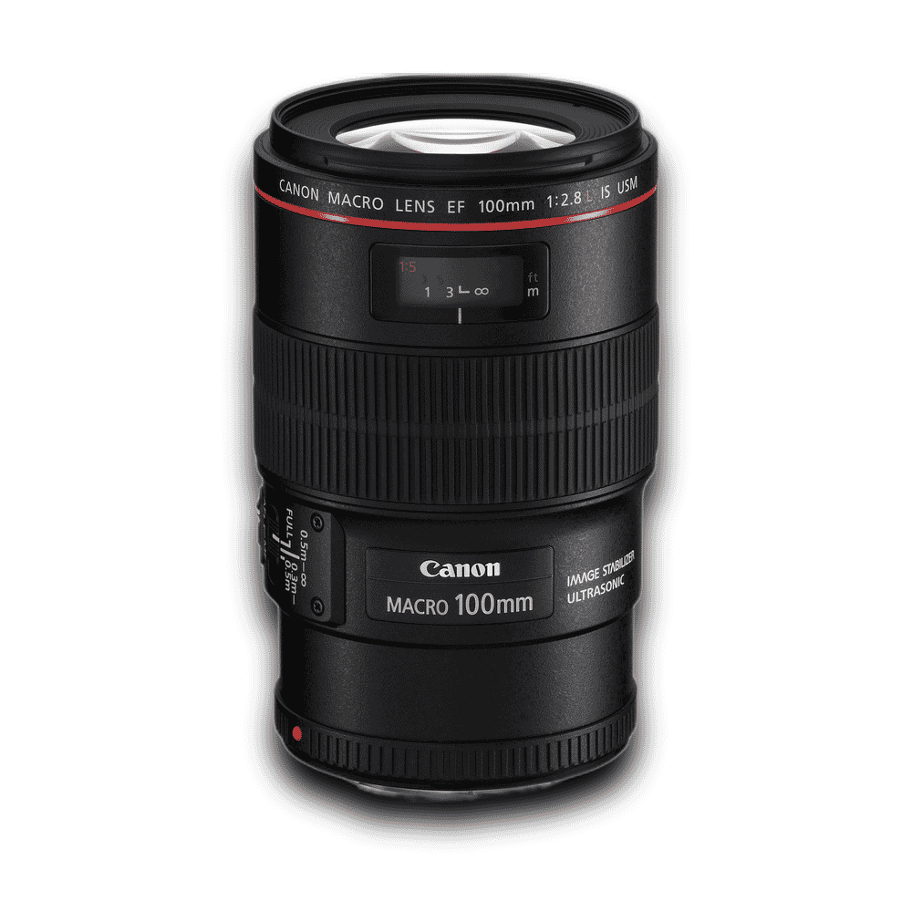 Canon EF100mm f/2.8 Macro USM