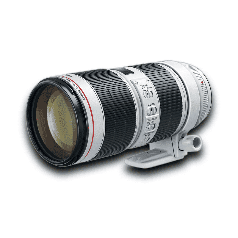 Canon EF70-200mm f/2.8L USM