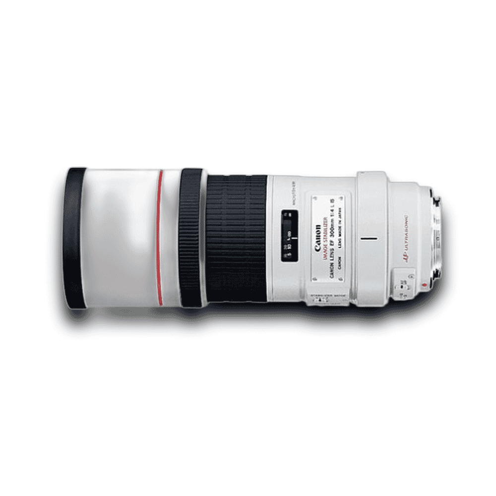 Canon EF300mm f/4L IS USM