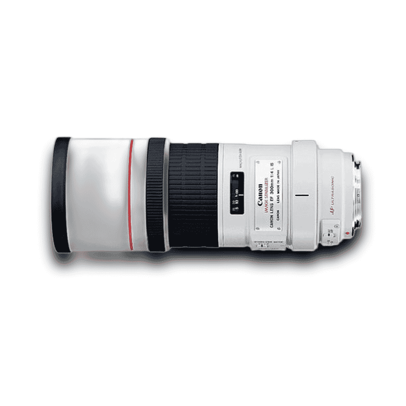 Canon EF300mm f/4L IS USM