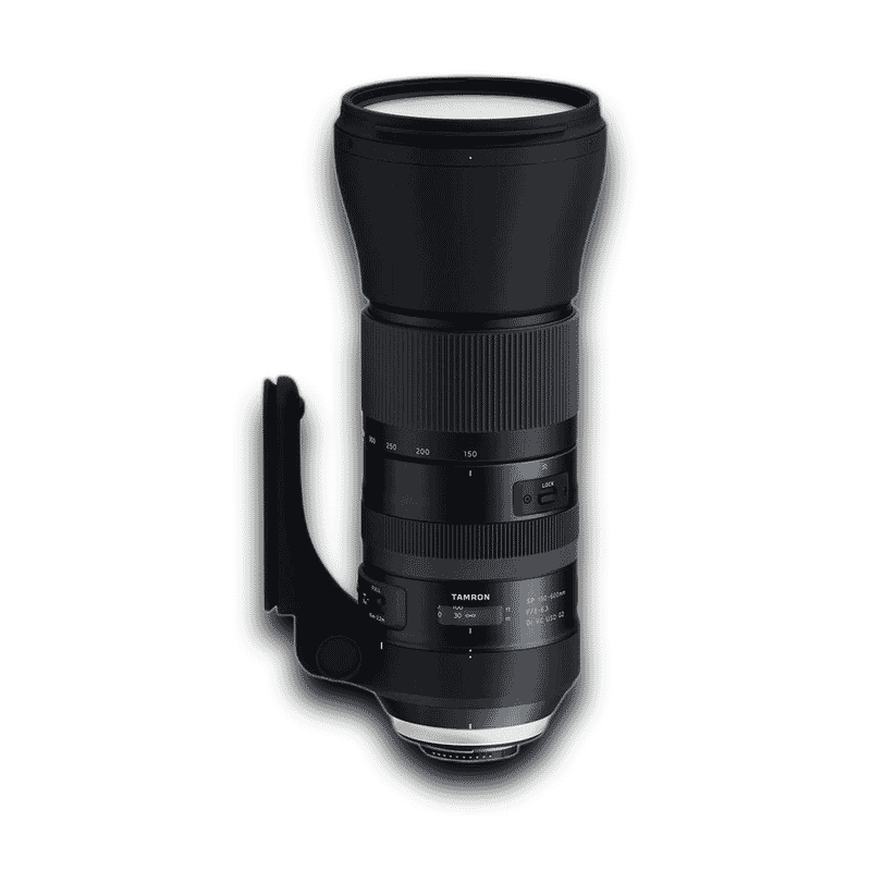 Tamron SP 150-600mm F/5-6.3 Di VC USD A011 Specs & Sample Photos