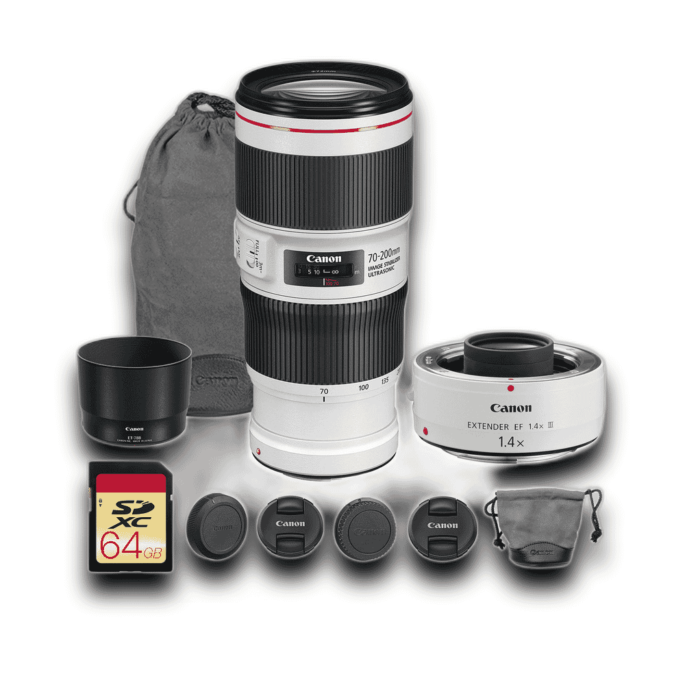 Canon EF500mm f/4L IS II USM +1.4x III