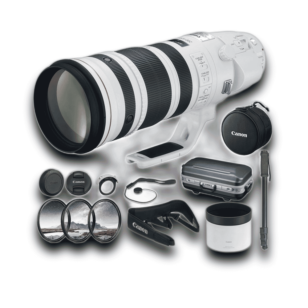 Canon EF200-400mm f/4L IS USM EXT