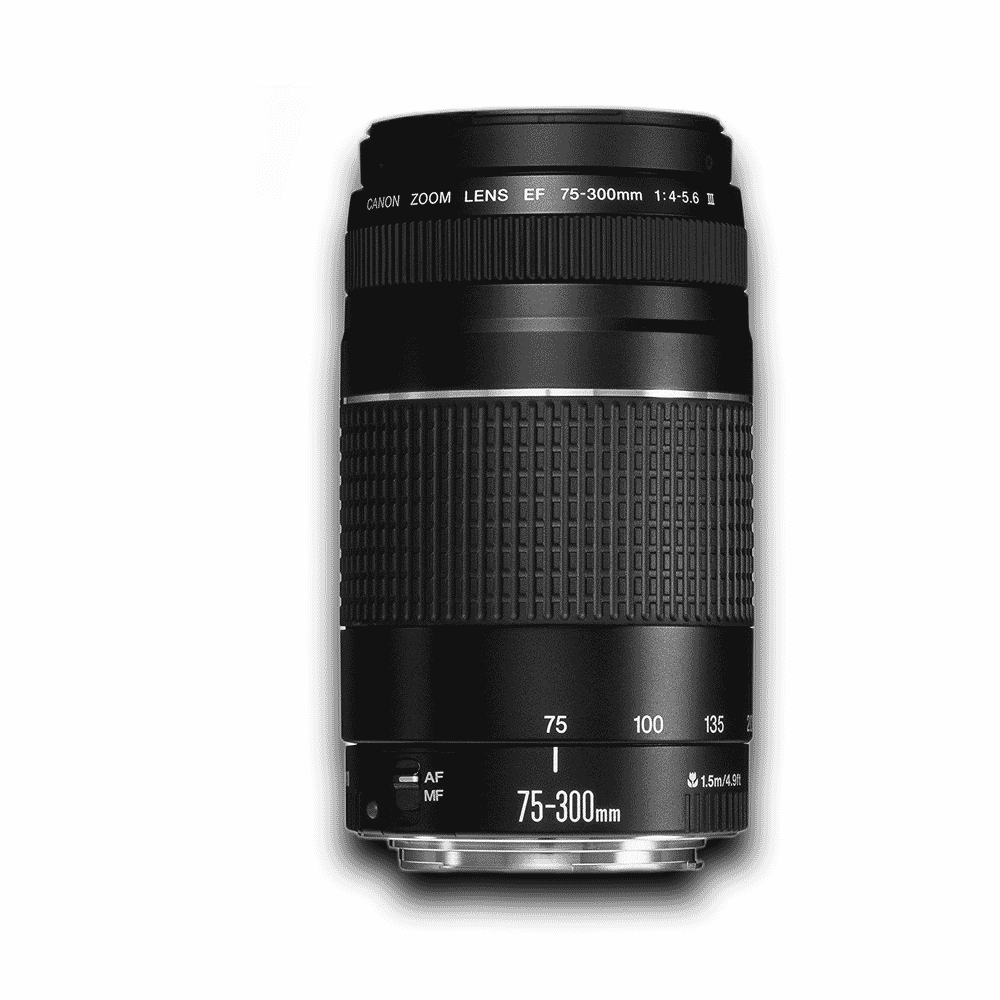 Canon EF75-300mm f/4-5.6 USM