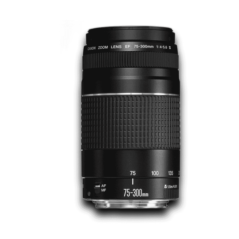 Canon EF75-300mm f/4-5.6 USM