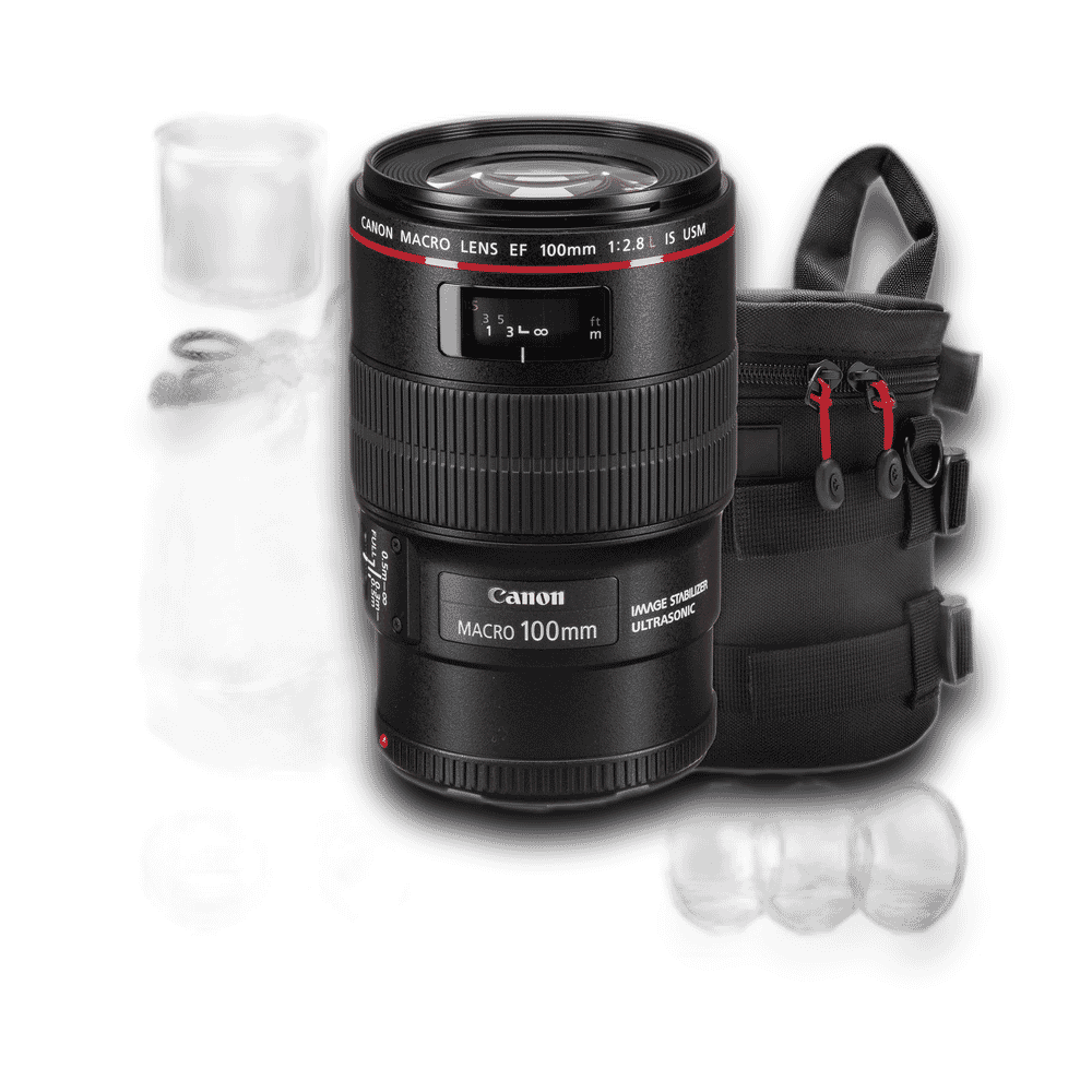 Canon RF100mm f/2.8 L MACRO IS USM