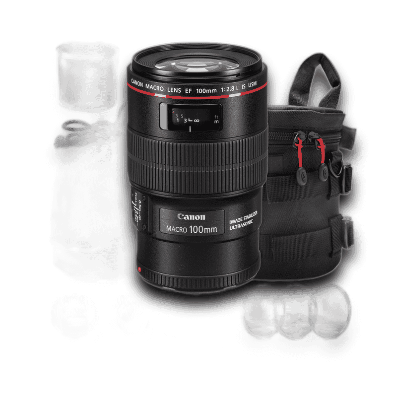 Canon RF100mm f/2.8 L MACRO IS USM