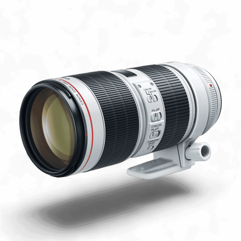 Canon EF300mm f/2.8L IS II USM +1.4x III