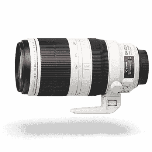 Canon EF100-400mm f/4.5-5.6L IS II USM +1.4x III