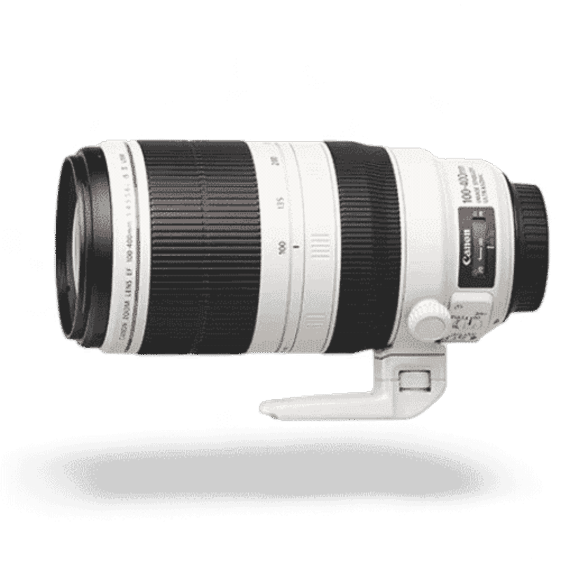 Canon EF100-400mm f/4.5-5.6L IS II USM +1.4x III