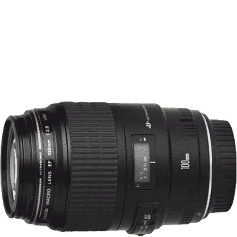 Canon EF100mm f/2.8 Macro USM