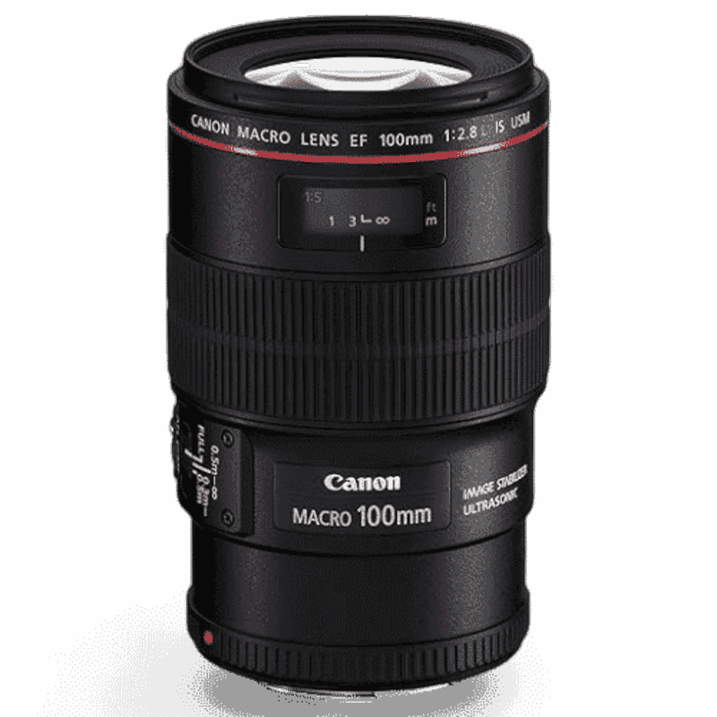 Canon EF100mm f/2.8L Macro IS USM