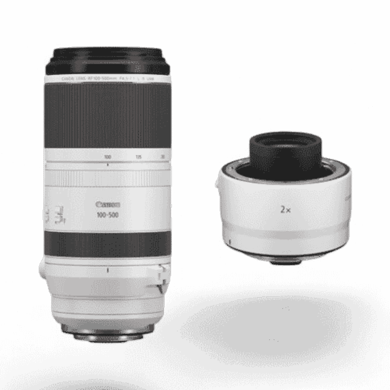 Canon RF100-500mm f/4.5-7.1 L IS USM + EXTENDER RF1.4x