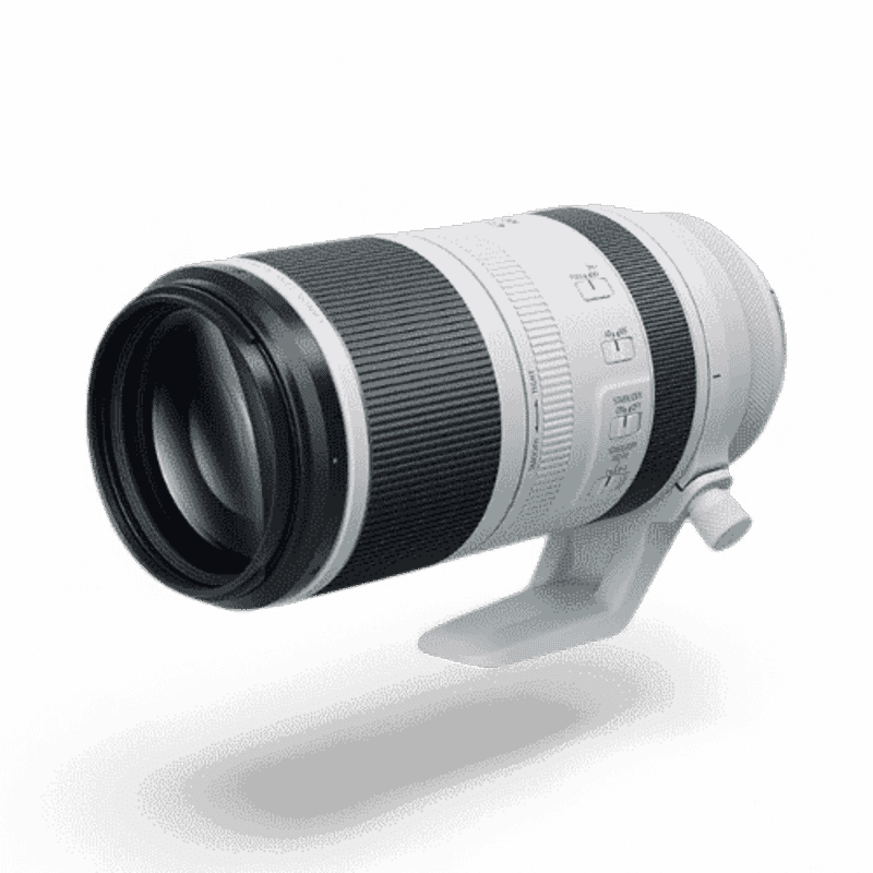 Canon RF100-500mm f/4.5-7.1 L IS USM