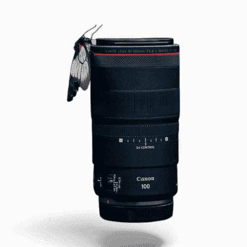 Canon RF100mm f/2.8 L MACRO IS USM