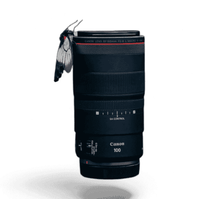 Canon RF100mm f/2.8 L MACRO IS USM